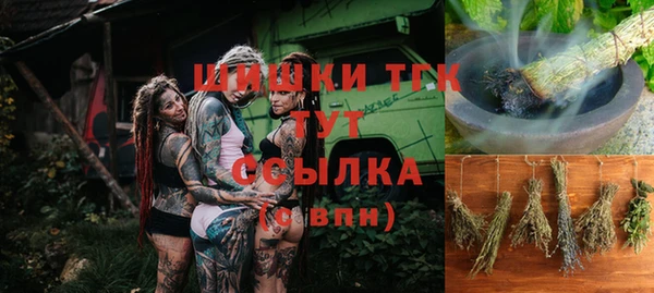 шишки Балахна