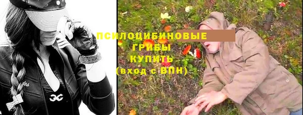 шишки Балахна