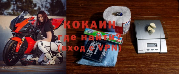 шишки Балахна